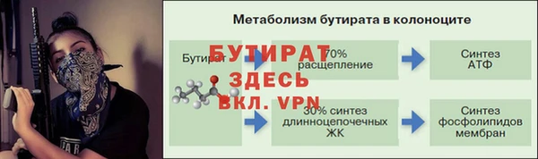 прущие грибы Беломорск